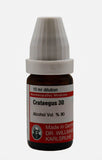 Crataegus Oxy