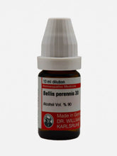 Bellis Per