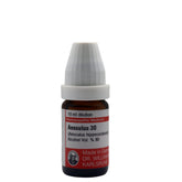 Aesculus Hipp (Aesculus)