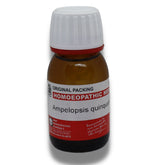 AMPELOPSIS QUINOEFOLIA