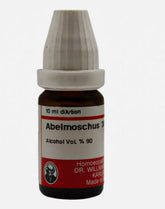 Abelmoschus