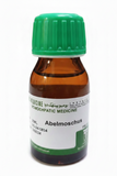 ABELMOSCHUS MOSCHATUS
