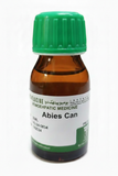 ABIES CANADENSIS