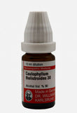 Caulophyllum Thalictroides