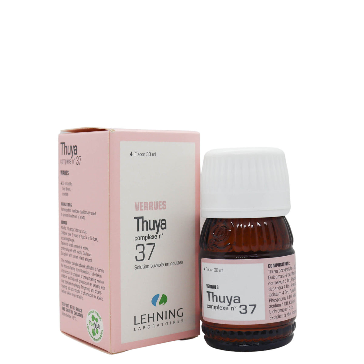 Lehning 37 Thuya complexe