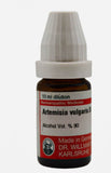 Artemisia Vulgaris