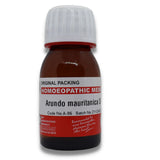 ARUNDO MAURITICA