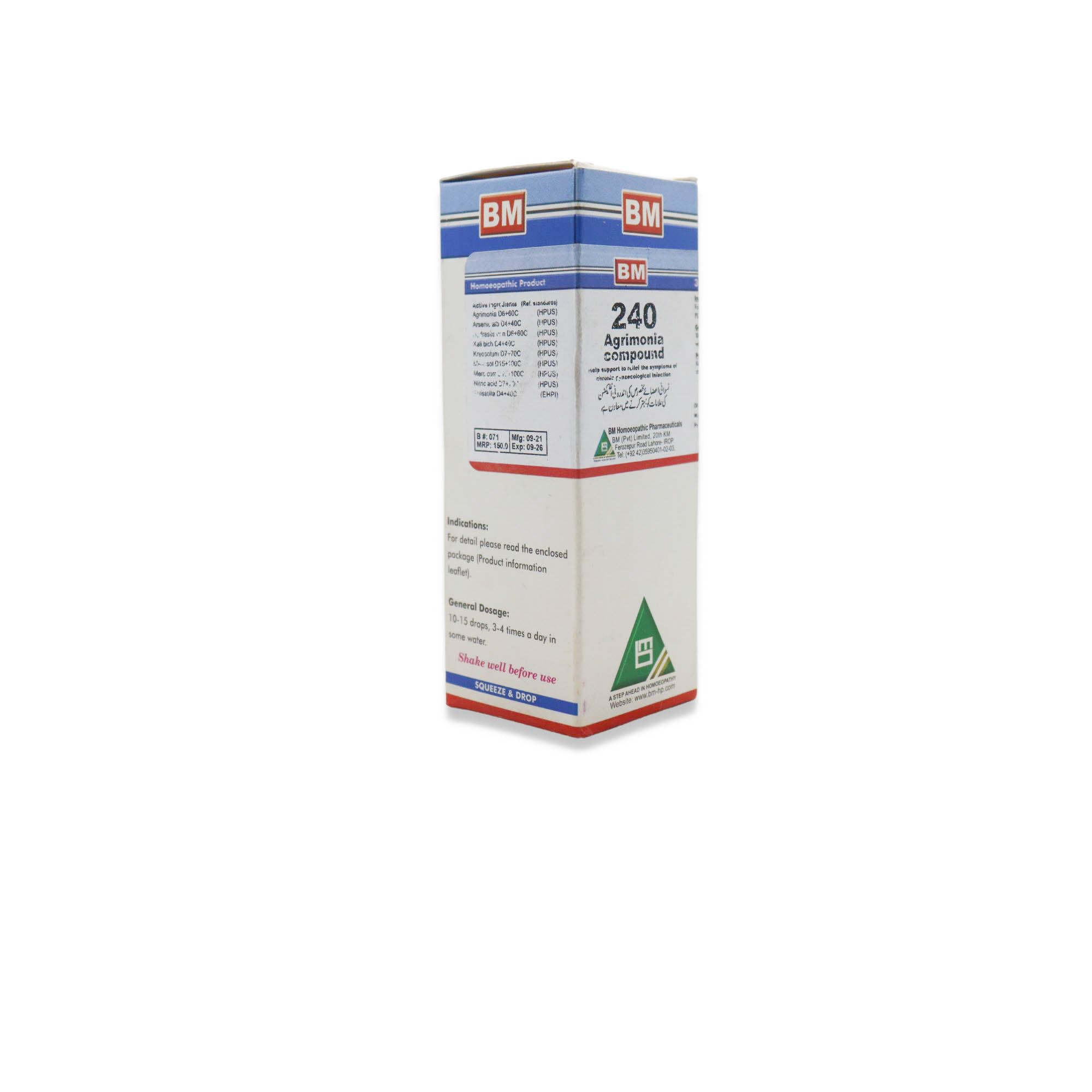 BM 240 CHRONIC GYNAECOLOGICAL INFECTIONS