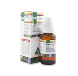 Bm Bach Flower-24 (Pine)