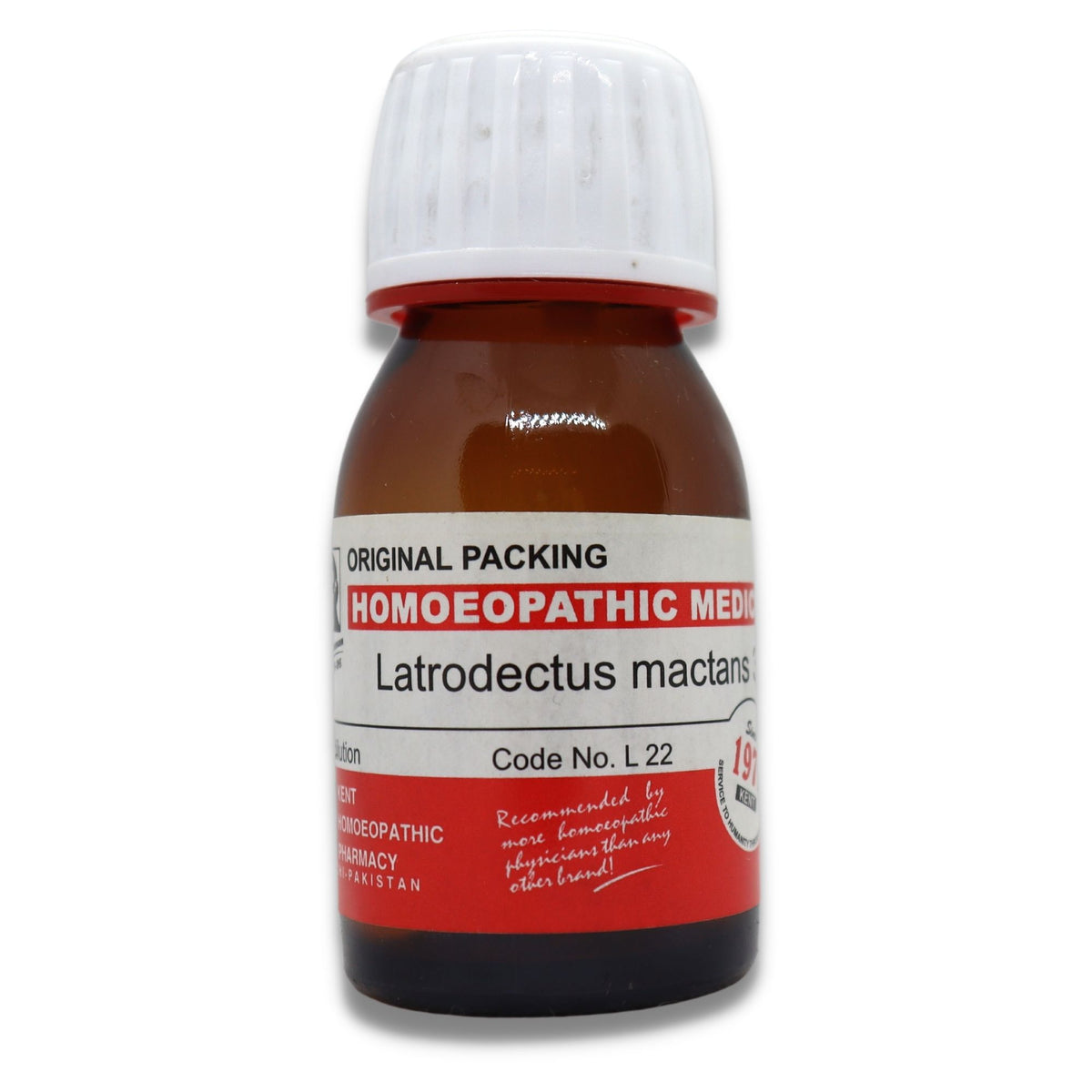 LATRODECTUS MACTANUS