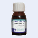 Thlaspi bursa pastoris Q