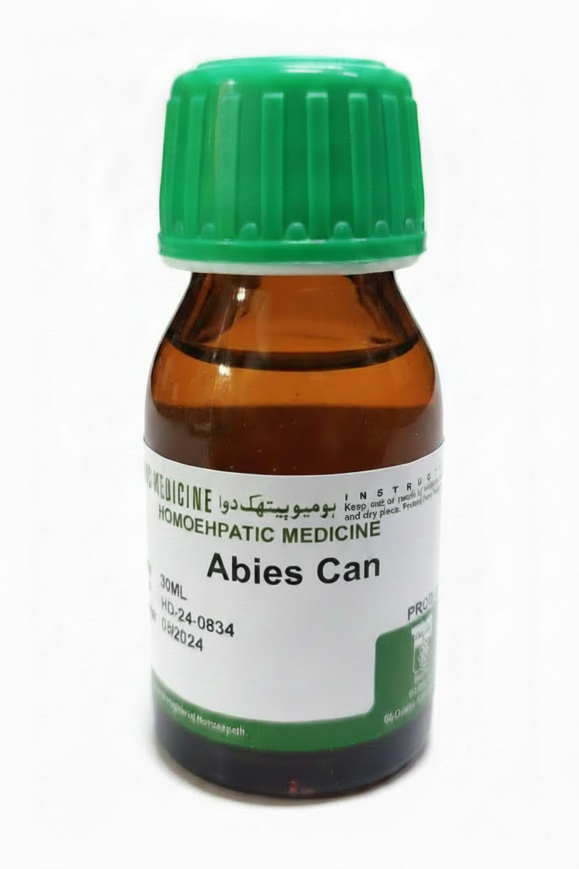 ABIES CANADENSIS